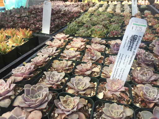 Garden «Sierra Water Gardens», reviews and photos, 2110 Dickerson Rd, Reno, NV 89503, USA