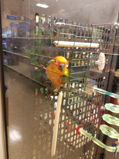 Pet Supply Store «PetSmart», reviews and photos, 401 S Mt Juliet Rd #645, Mt Juliet, TN 37122, USA