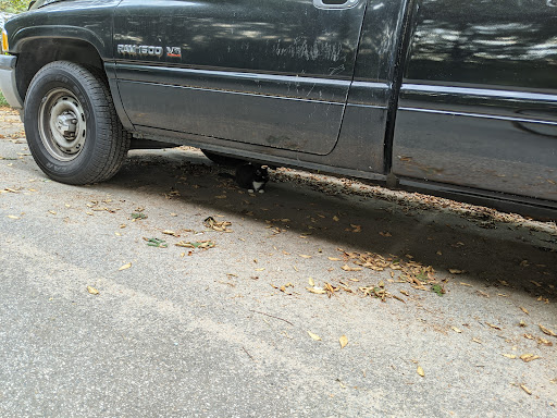 Public Golf Course «Candler Park Golf Course», reviews and photos, 585 Candler Park Dr NE, Atlanta, GA 30307, USA