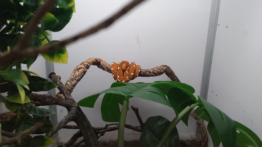 Pet Supply Store «Arcata Pet», reviews and photos, 600 F St #6, Arcata, CA 95521, USA