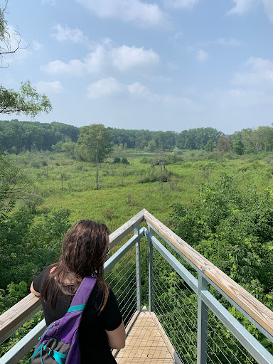 Nature Preserve «Bow in the Clouds Preserve», reviews and photos, 1805 Nazareth Rd, Kalamazoo, MI 49048, USA