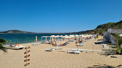 Foto de Rosenets beach com uma linha costeira espaçosa