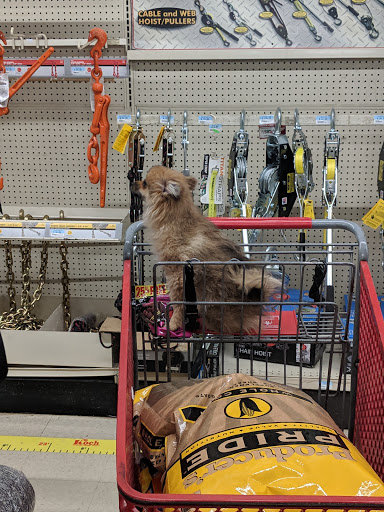 Home Improvement Store «Tractor Supply Co.», reviews and photos, 6015 S Transit Rd, Lockport, NY 14094, USA