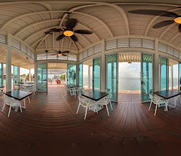 Jungle Tour Barracuda photo