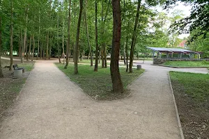 Przygodna Park image