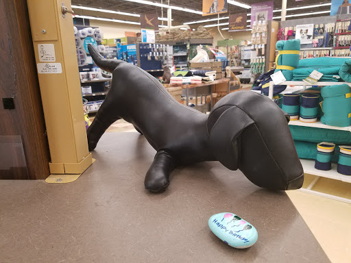 Pet Supply Store «Petco Animal Supplies», reviews and photos, 1670 Airport Blvd #700, Pensacola, FL 32504, USA