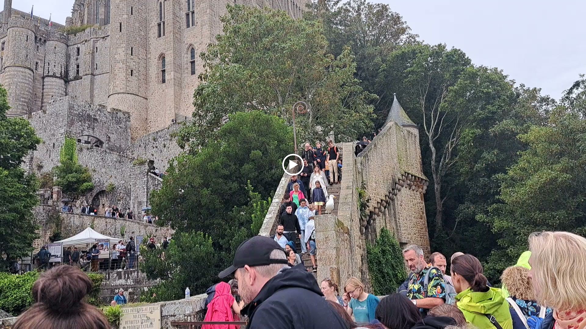 Photo n° 17 de l'avis de Ansis.e fait le 17/08/2023 à 18:23