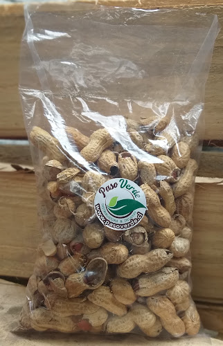Paso Verde SpA - Frutería