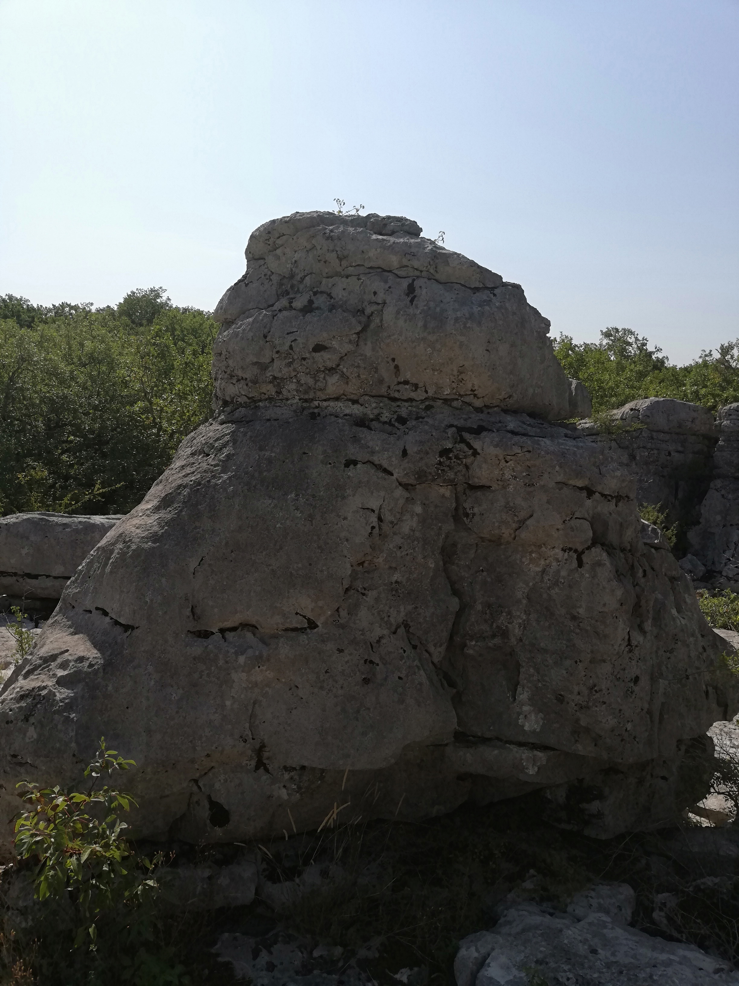 Photo n° 1 de l'avis de Aurélie. fait le 05/10/2019 à 18:45