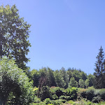 Photo n° 11 de l'avis de Charlene.i fait le 20/07/2022 à 10:13 pour Jardin de Berchigranges à Granges-Aumontzey