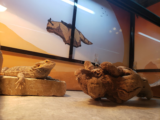 Furniture Store «The Liquidation Guys», reviews and photos, 15125 Interstate 35 Frontage Rd, Selma, TX 78154, USA