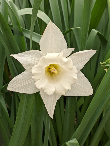 Park «Columbus Park», reviews and photos, 67 Mulberry St, New York, NY 10013, USA