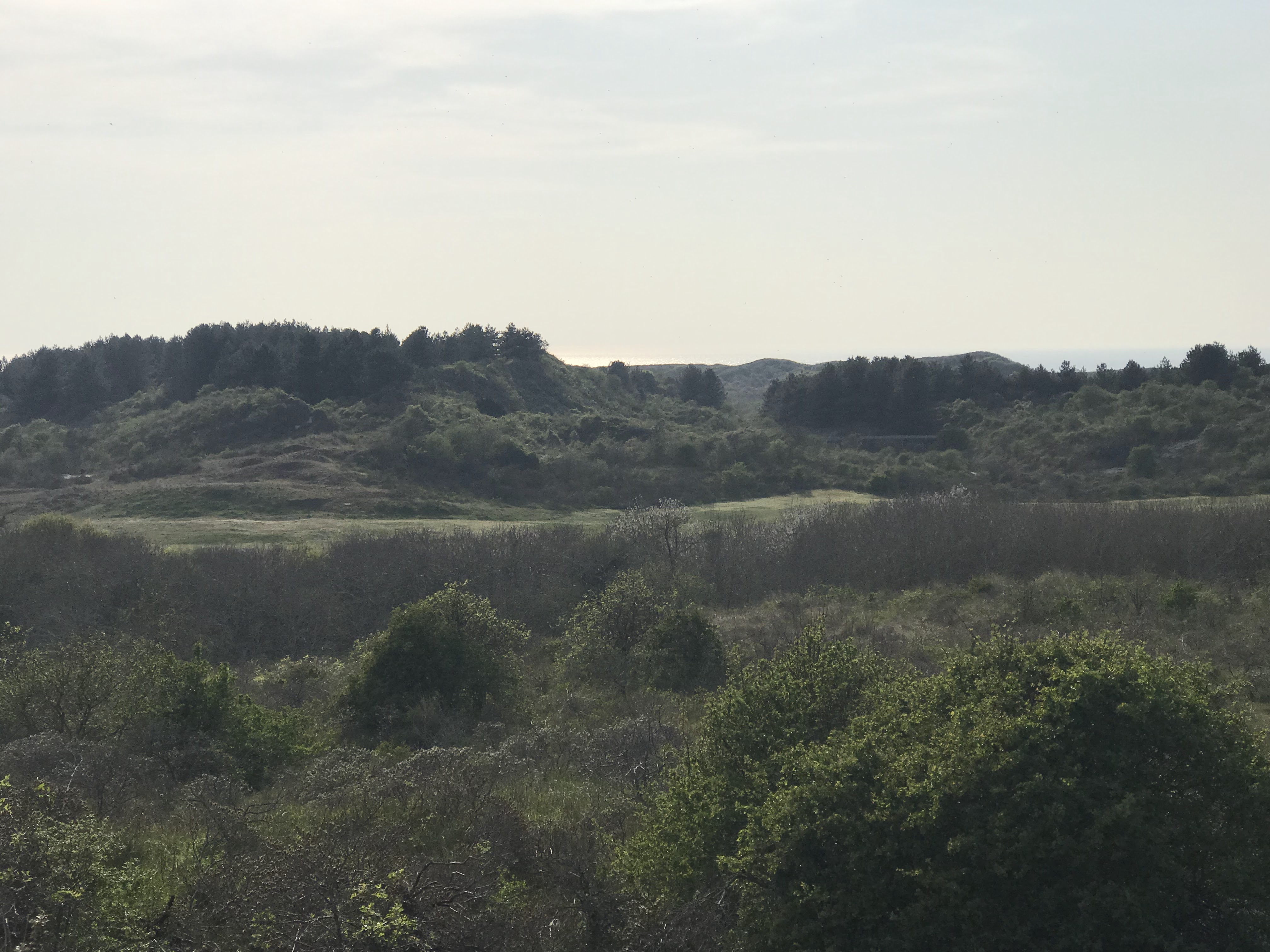 Photo n° 6 de l'avis de Christophe. fait le 22/04/2019 à 06:43