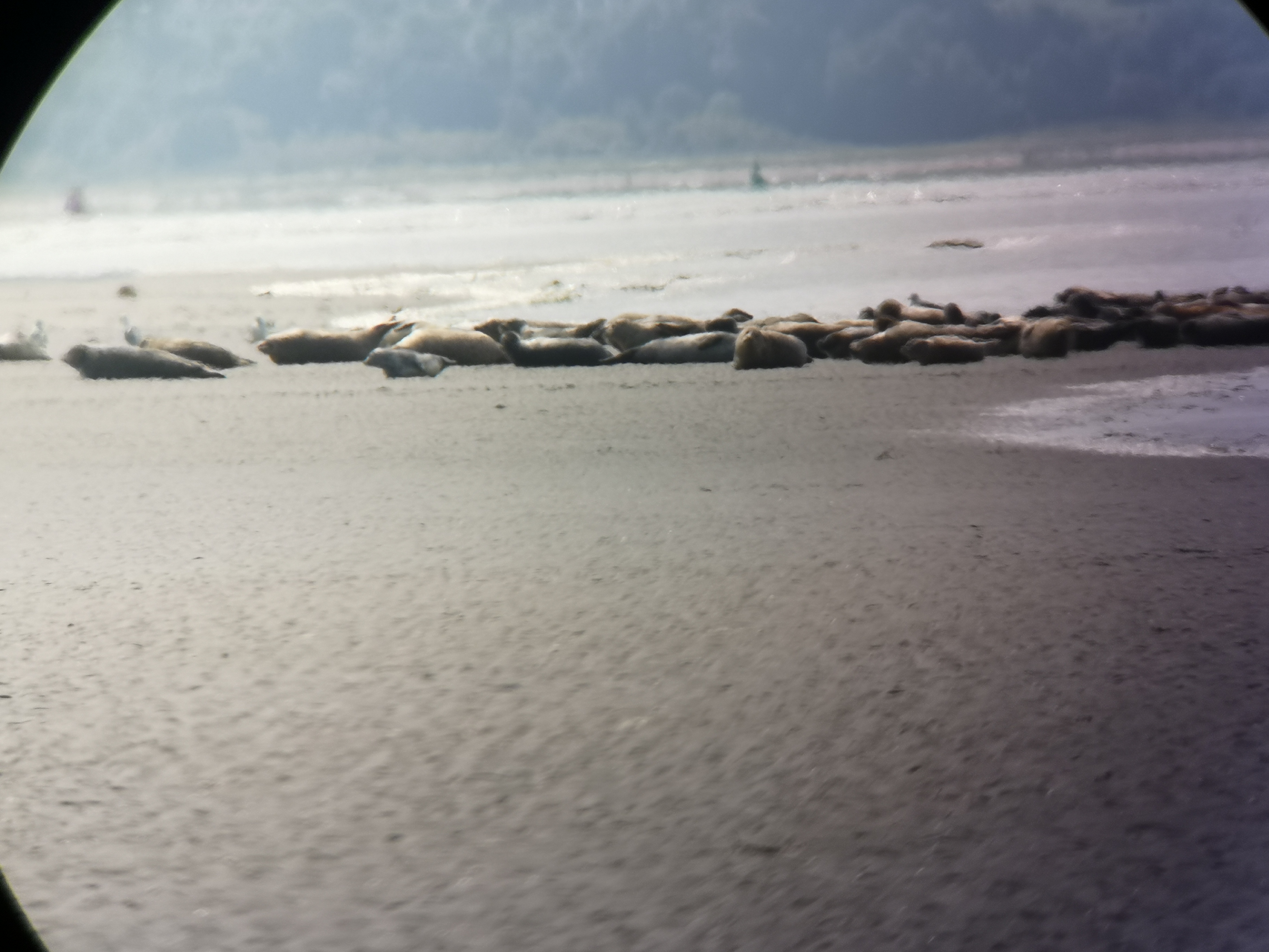 Photo n° 3 de l'avis de Marc.a fait le 16/08/2023 à 16:55