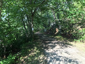 BBQ place Ringwood state park - photo 4