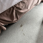 Photo n°1 de l'avis de S..c fait le 03/04/2024 à 09:15 sur le  Hotel Domicil Hamburg by Golden Tulip à Hamburg