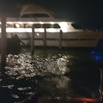 Photo n°1 de l'avis de Tania.c fait le 06/07/2022 à 21:05 sur le  Sarah Cruise à Venice