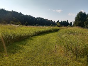 Ed Tallard Conservancy - photo 28