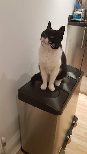 Nice and Cuddly Pet Sitting - Manchester