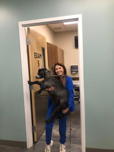 Wolfe Animal Hospital image