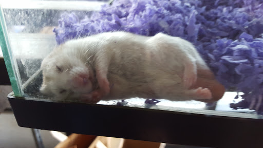 Pet Supply Store «E & M Pet Shop», reviews and photos, 5900 Whittier Blvd, Los Angeles, CA 90022, USA