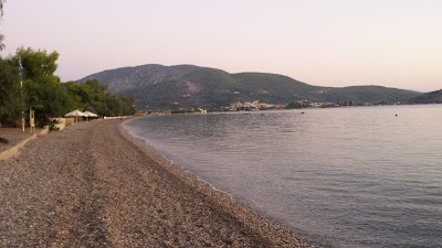 Photos of Camping Nicolas 2