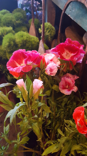 Florist «Green Inc», reviews and photos, 1718 N Wells St, Chicago, IL 60614, USA