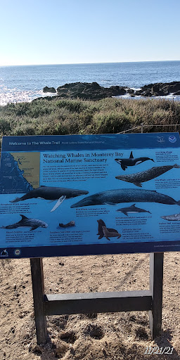 Grocery Store «Safeway», reviews and photos, 1212 Forest Ave, Pacific Grove, CA 93950, USA