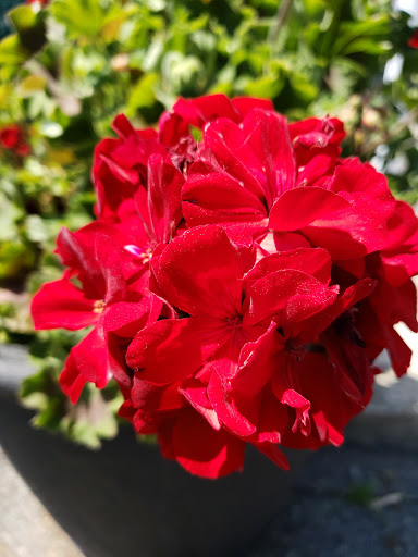 Park «Lemon Creek Park», reviews and photos, Hylan Blvd, Staten Island, NY 10309, USA