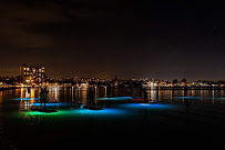 Nicole Turner Yoga - Private & Corporate Wellness - Photo 8 - Car repair in San Diego, CA, San Diego