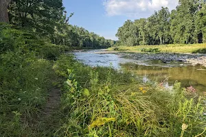 Cazenovia Creek Wildlife Management Area image