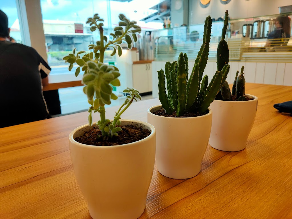 清原芋圓 頭橋店 的照片