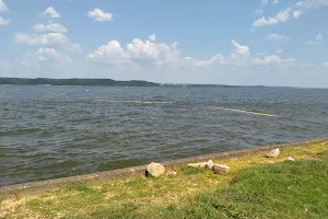 Paris Landing State Park image