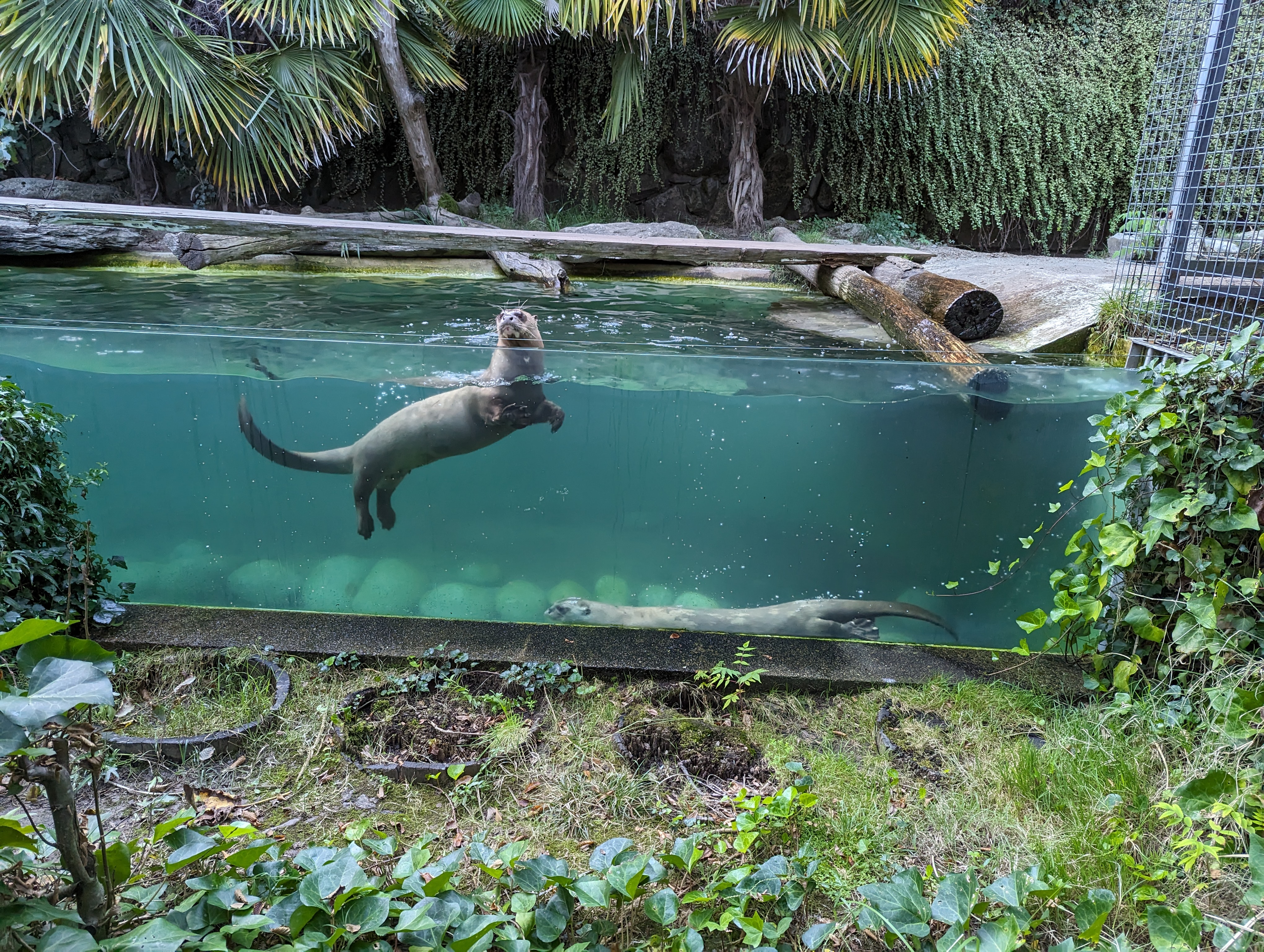 Photo n° 6 de l'avis de Thibaud.l fait le 10/10/2023 à 07:10