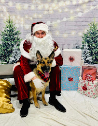 Eddie and Barkus Holland - Photo 3 - Car repair in Holland, MI, Holland