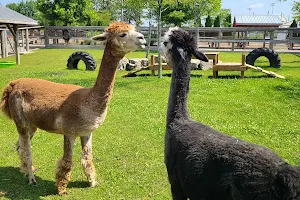 Chinguacousy Park Petting Zoo image