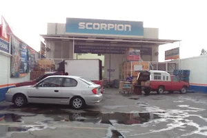 Scorpion Xochimilco image