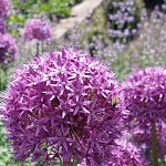 Photo n°18 de l'avis de M... fait le 02/06/2023 à 17:34 sur le  Bloom Restaurant & Cafe à Bremen