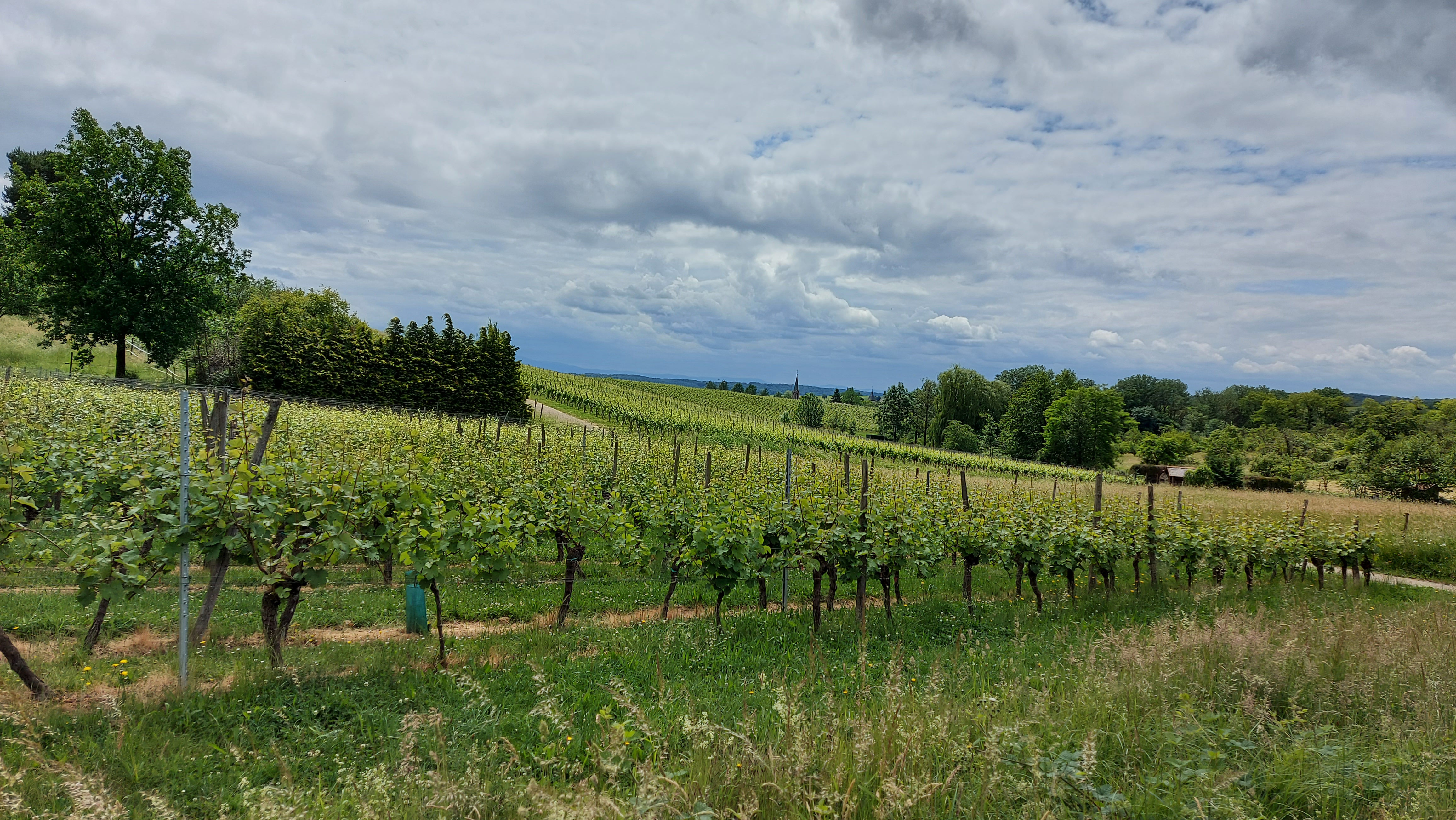 Photo n° 4 de l'avis de M..a fait le 26/05/2022 à 12:46
