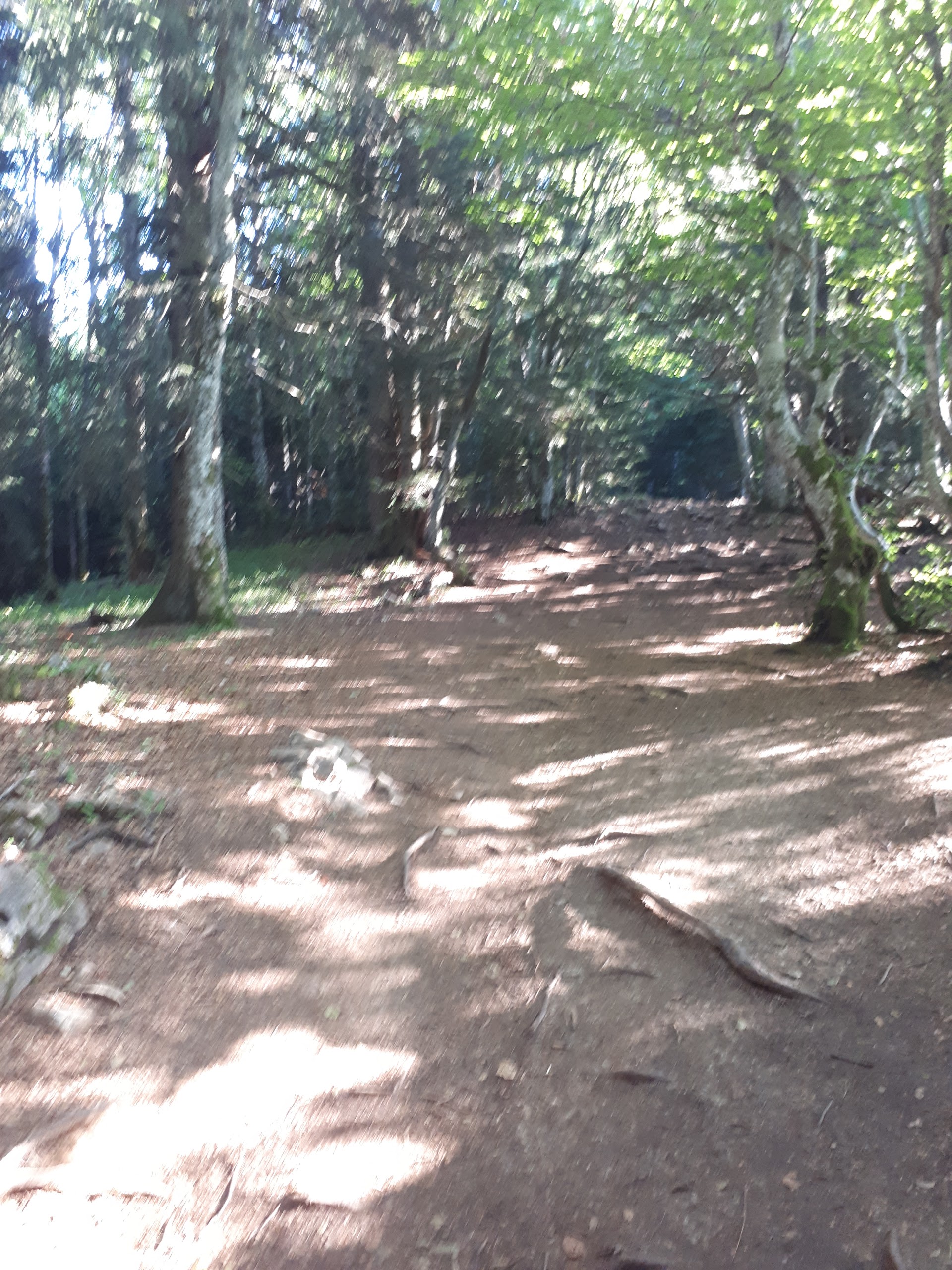 Photo n° 5 de l'avis de François.o fait le 14/08/2017 à 17:38