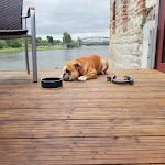 Photo n°4 de l'avis de Andreas.a fait le 13/06/2020 à 18:07 sur le  Restaurant Culinaria à Magdeburg