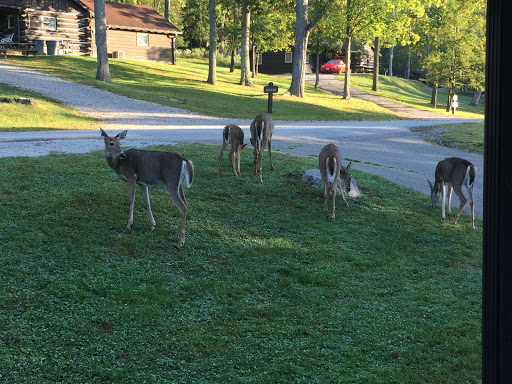 Golf Resort «Speidel Golf Club at Oglebay Resort», reviews and photos, 465 Lodge Drive, Wheeling, WV 26003, USA