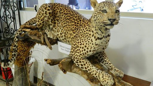 Sporting Goods Store «Mosquito Creek Outfitters», reviews and photos, 3000 Mosquito Rd, Placerville, CA 95667, USA