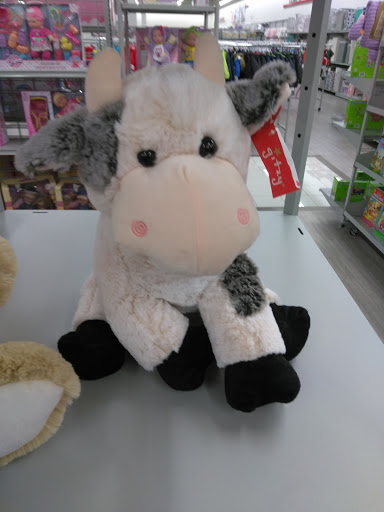 Fabric Store «Jo-Ann Fabrics and Crafts», reviews and photos, 2300 Dixwell Ave, Hamden, CT 06514, USA