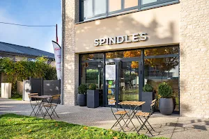 SPINDLES image