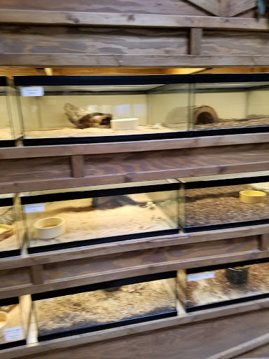 Pet Store «Lost Realms Pets», reviews and photos, 8059 N Cedar Ave, Fresno, CA 93720, USA