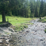 Photo n°6 de l'avis de valbruna.a fait le 23/08/2023 à 20:26 sur le  Alpe Nemes Hütte à Sexten