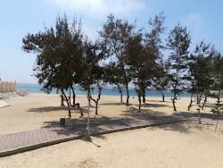 Montazah Aida Beach'in fotoğrafı imkanlar alanı