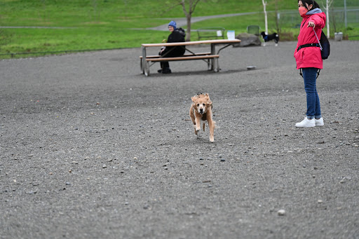 Park «Genesee Park and Playfield», reviews and photos, 4316 S Genesee St, Seattle, WA 98118, USA