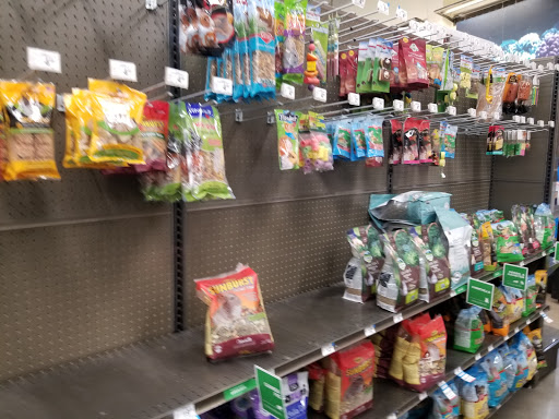 Pet Supply Store «Petco Animal Supplies», reviews and photos, 9111 Metropolitan Ave, Rego Park, NY 11374, USA